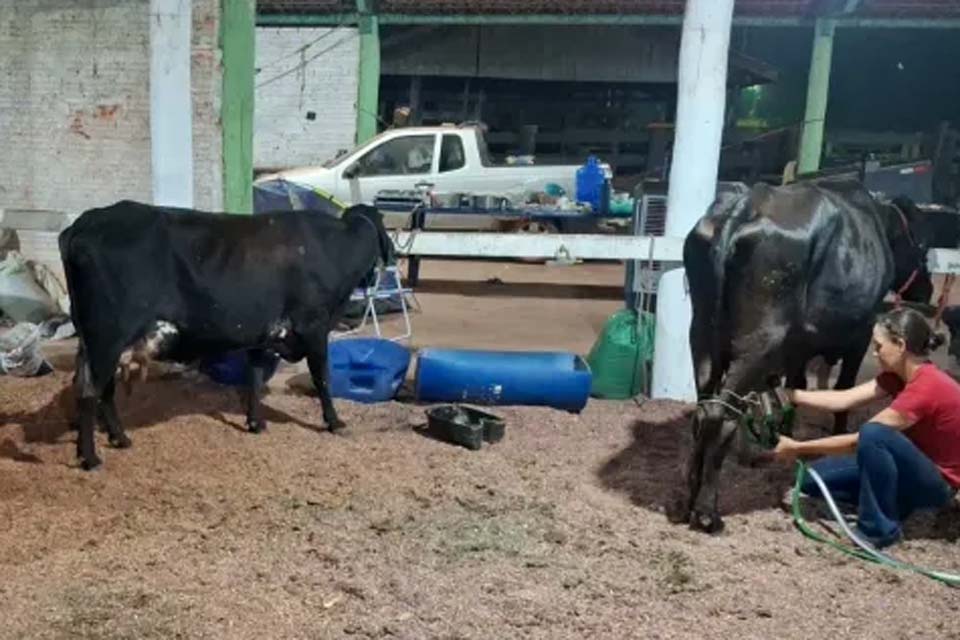 O Pacarana é Agro: Produtores do distrito participam do Concurso Leiteiro na 39ª Expopib