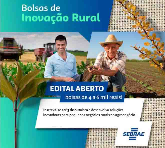 Sebrae lança primeiro edital para selecionar bolsistas para atuar em inovação rural