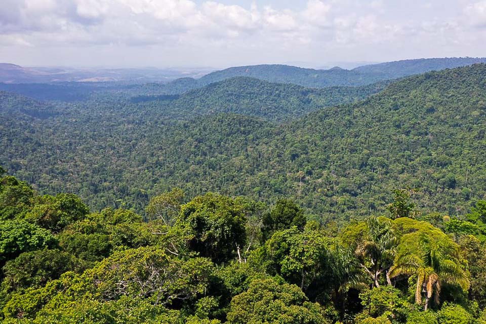 Amazônia é um dos focos das Nações Unidas para a Agenda 2030