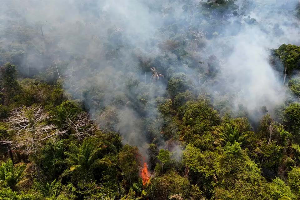 Prazo para aderir ao controle do desmatamento começa dia 12 de abril