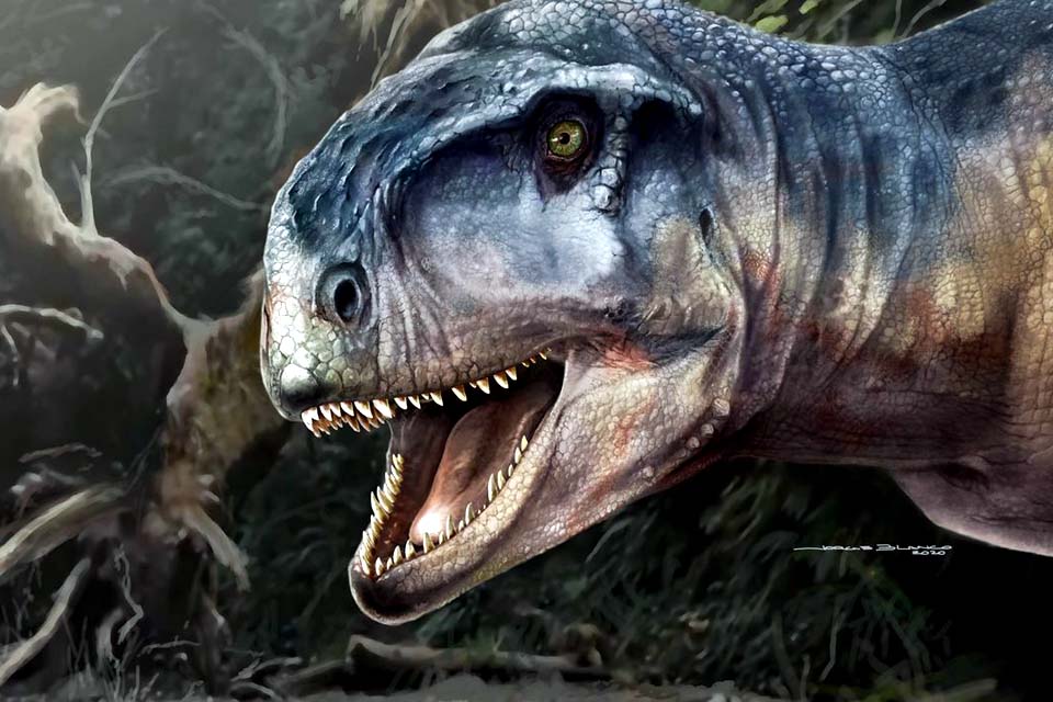 Nova espécie de dinossauro é descoberta na Argentina