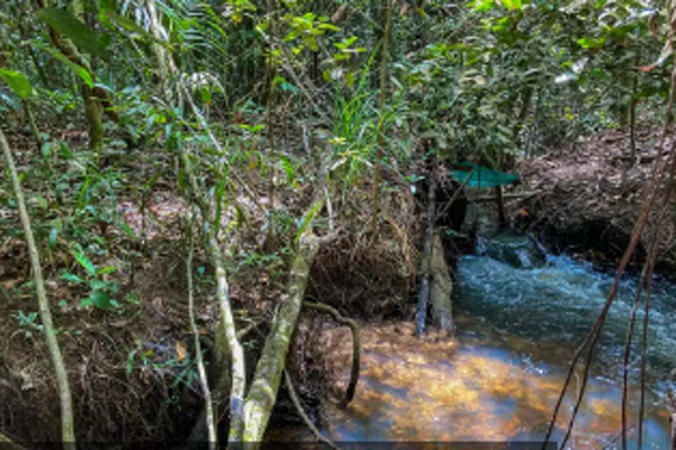 Fronteira entre Amazônia e Cerrado: clima deve comprometer viabilidade de 74% das terras agrícolas até 2060