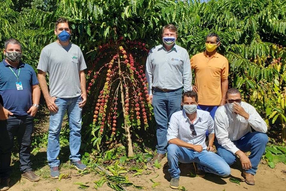 Com projeto de café especial, setor produtivo de Vilhena aguarda o resultado do 5º Concafé