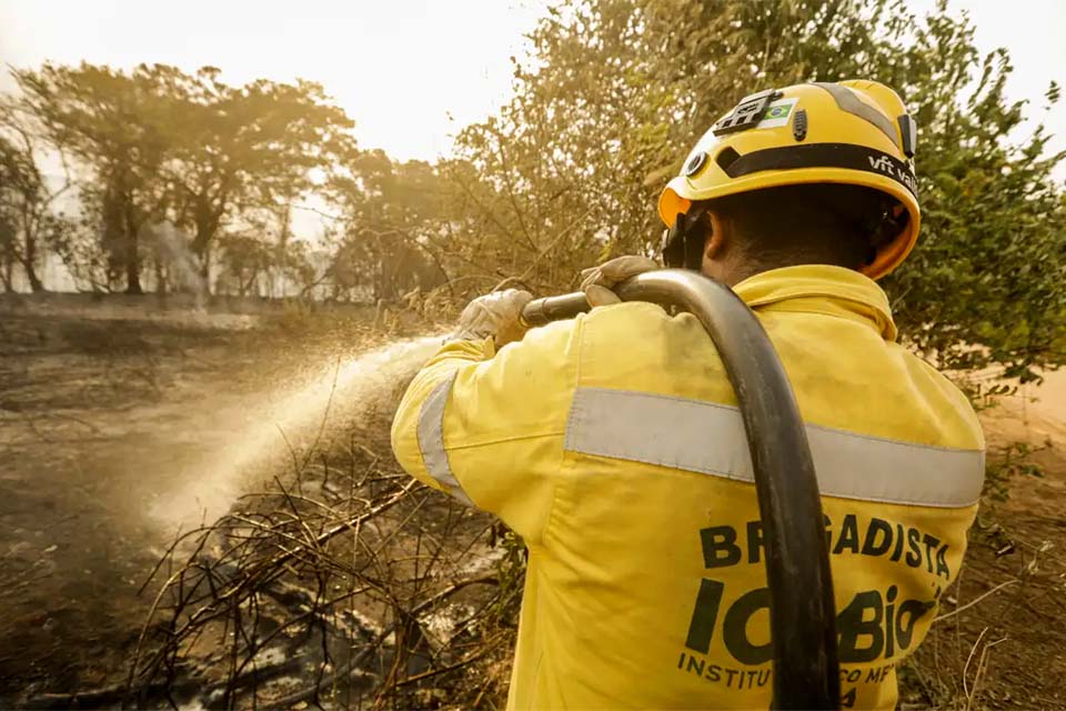 Mais de 17,3 milhões de hectares foram queimados em 2023 no país