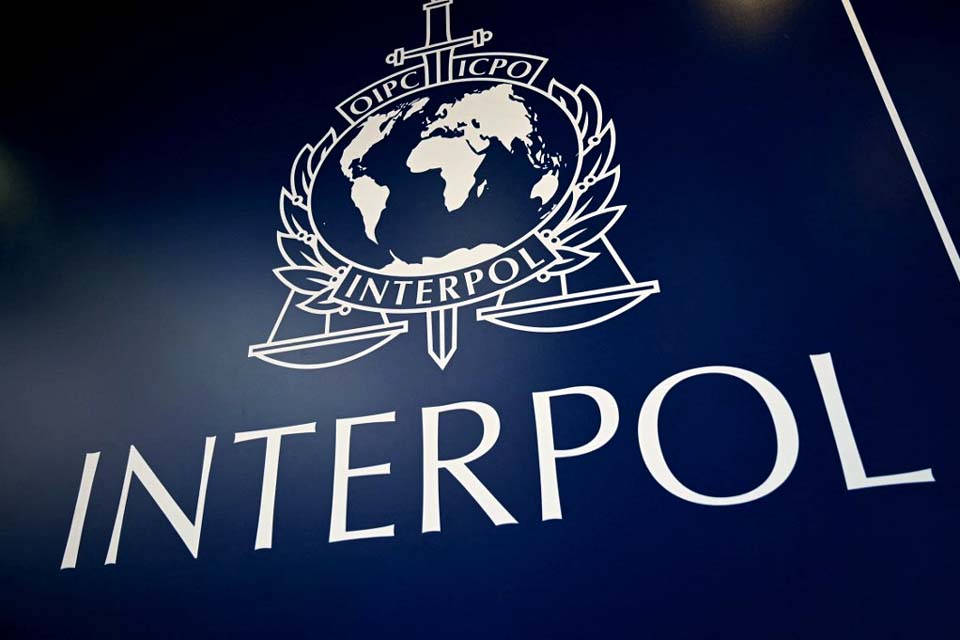 Interpol recupera 11 mil artefatos de arte roubados em mega operação na Europa