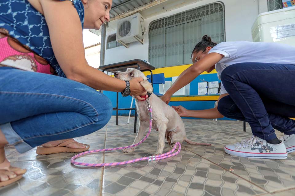 Mutirão de vacinação antirrábica será realizado em Extrema e Nova Califórnia