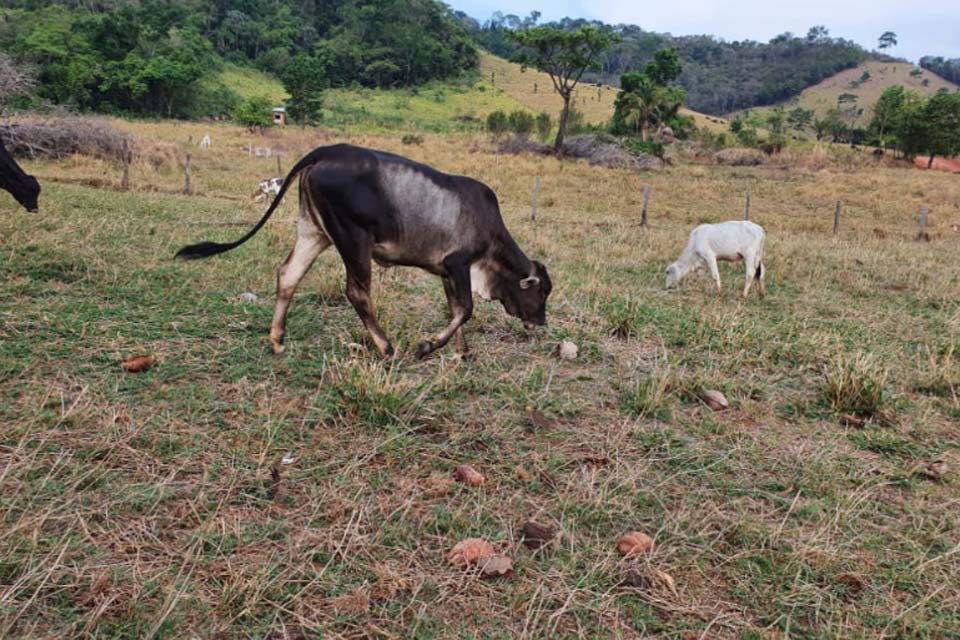 Sepat realiza audiências públicas on-line para regularizar oito mil imóveis na zona rural de Rondônia