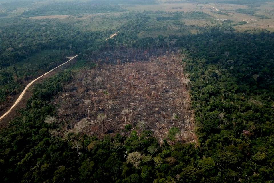 Forças Armadas atuarão em 26 municípios para coibir desmatamento