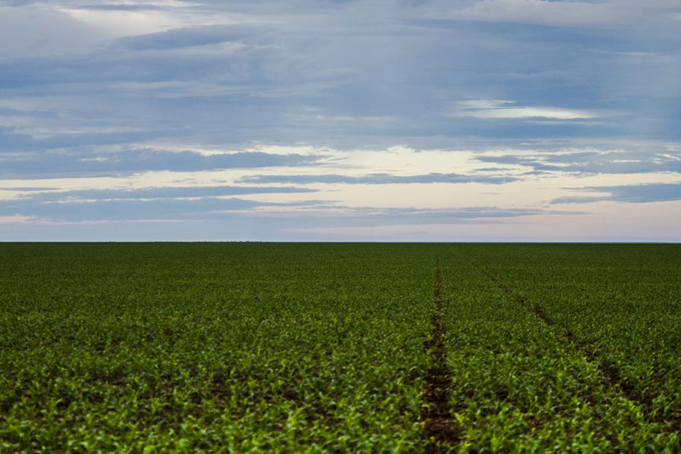 Marco regulatório para agrotóxicos é publicado no DOU