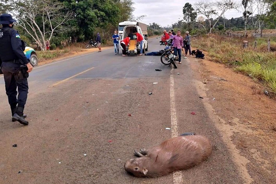 Mulheres em motocicleta colidem em capivara e ficam feridas 