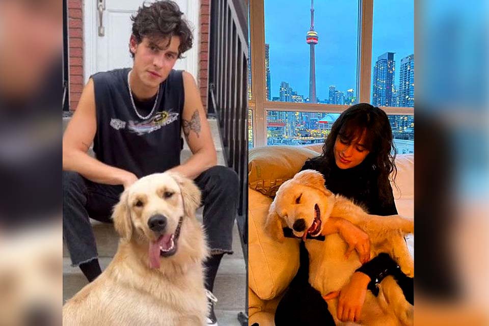 Shawn Mendes está triste com a perda de seu cachorro para Camila Cabello, diz site