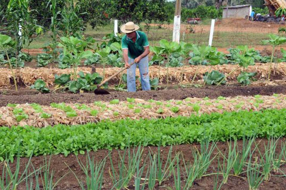 Cadastro da Agricultura Familiar consolida e amplia informações da antiga Declaração de Aptidão