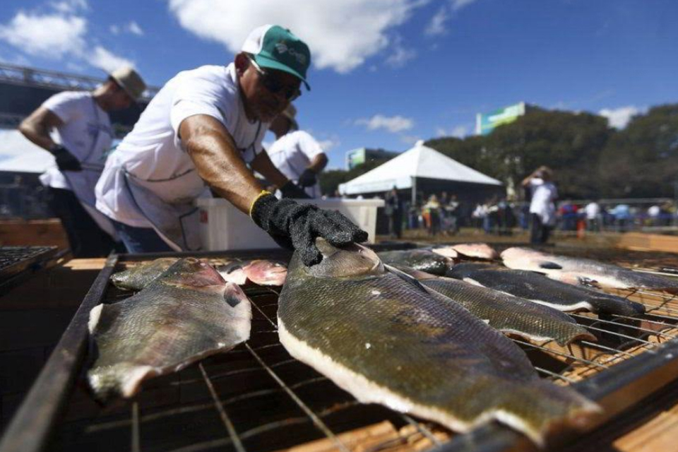 Festival do Tambaqui de Rondônia quer ganhar o Brasil