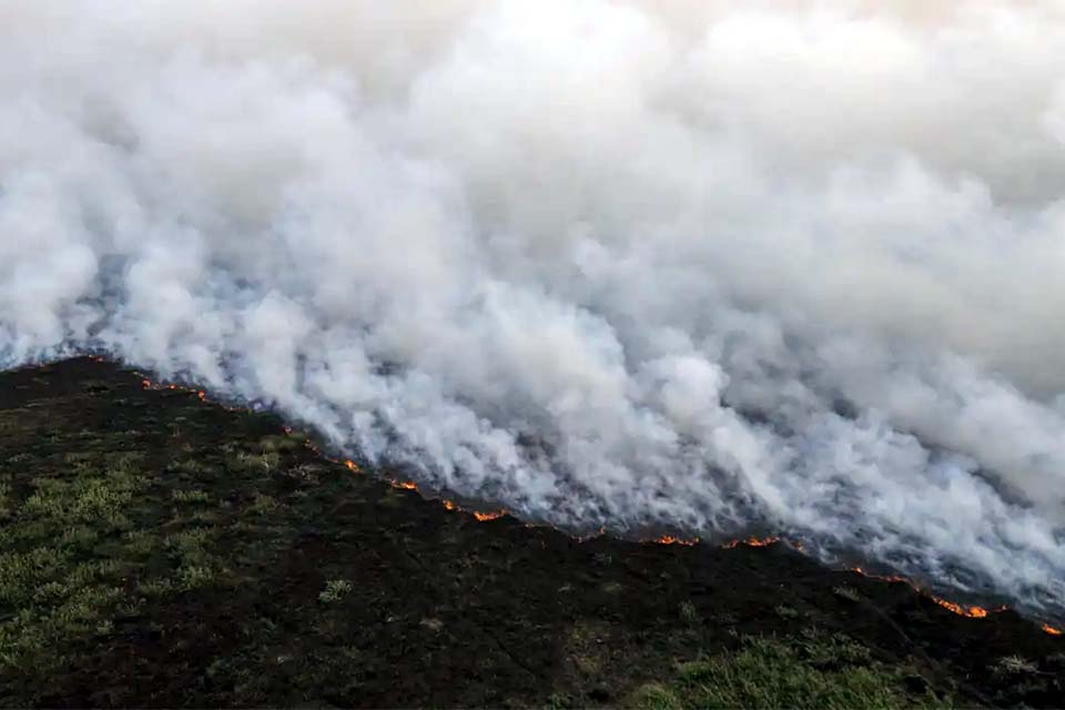 Brigadistas intensificam trabalho de combate a incêndios no Pantanal