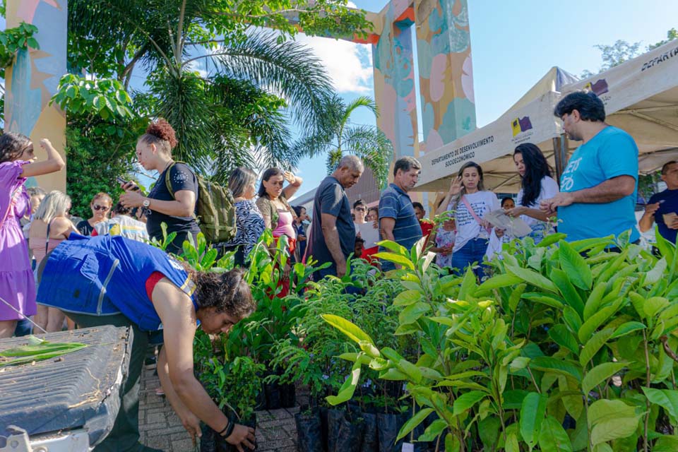 Mudas são distribuídas para população da capital e distritos de Porto Velho