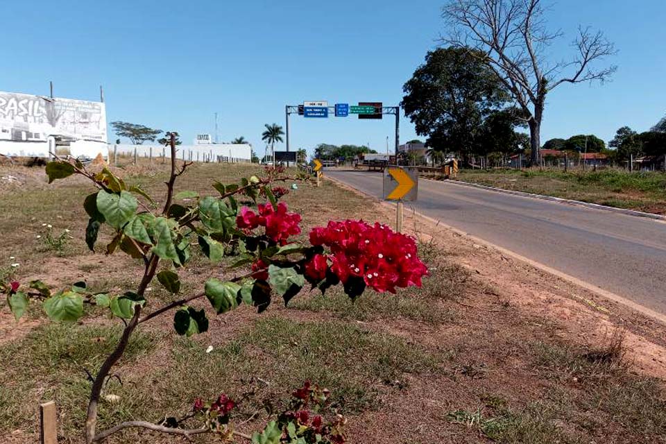 De paisagismo a portal com letreiro na entrada da cidade, prefeitura investe em obras para melhorar estética urbana 