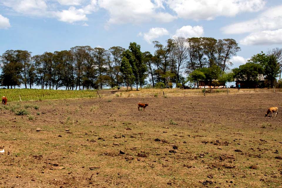 Cidades gaúchas vão receber mais R$ 701 mil para combater seca