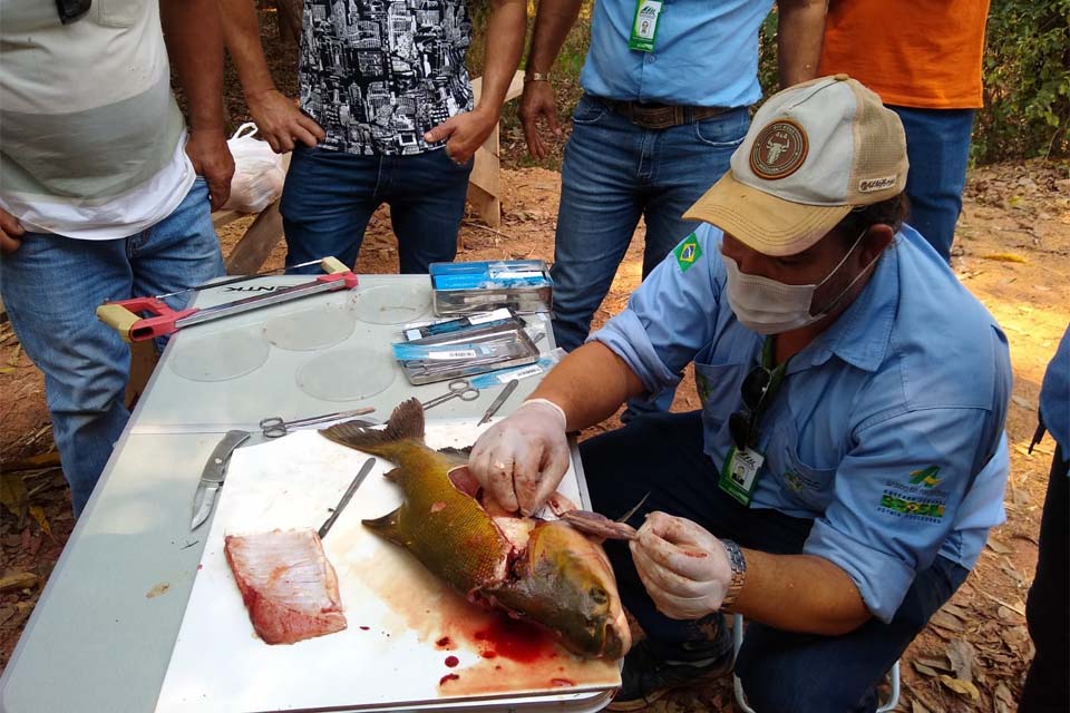 Técnicos da Emater e piscicultores da Zona da Mata recebem capacitação por meio do programa “Peixe Saudável” 