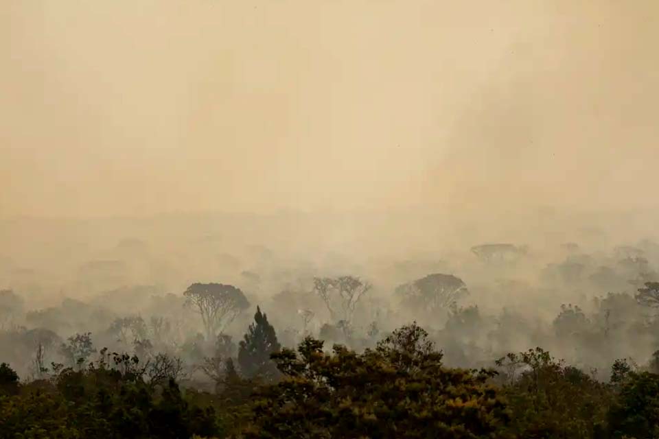 Incêndio florestal no Parque Nacional de Brasília está controlado