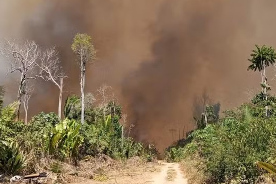 Incêndio em unidade de conservação em Guajara-Mirim já dura 13 dias