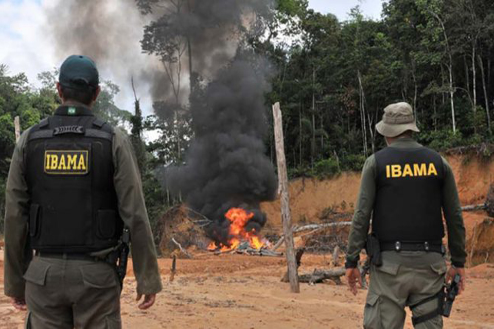 Com a presença de ministro, Ibama deflagra operação contra extração ilegal de madeira em Rondônia