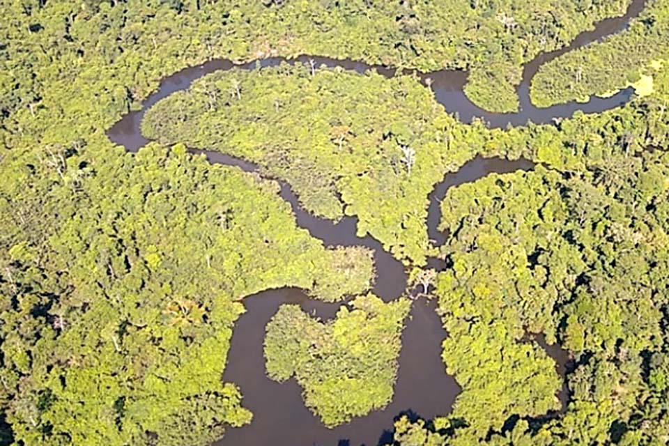 Justiça acolhe Ação Civil Pública do MPRO que propôs dissolução de Associação envolvida na invasão do Parque Estadual de Guajará-Mirim