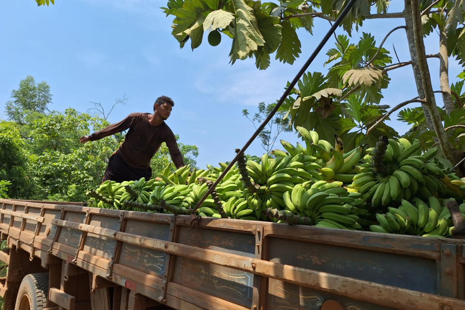 Prefeitura de Porto Velho reforça transporte da produção agrícola e manutenção de estradas rurais