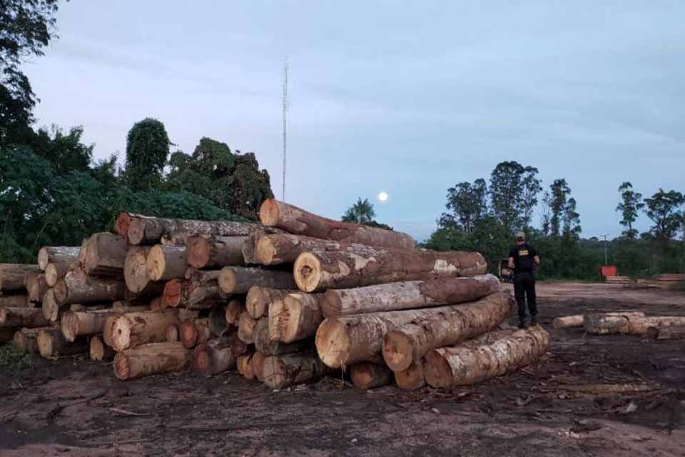 Polícia Federal e Ibama deflagram operações em três cidades de Rondônia