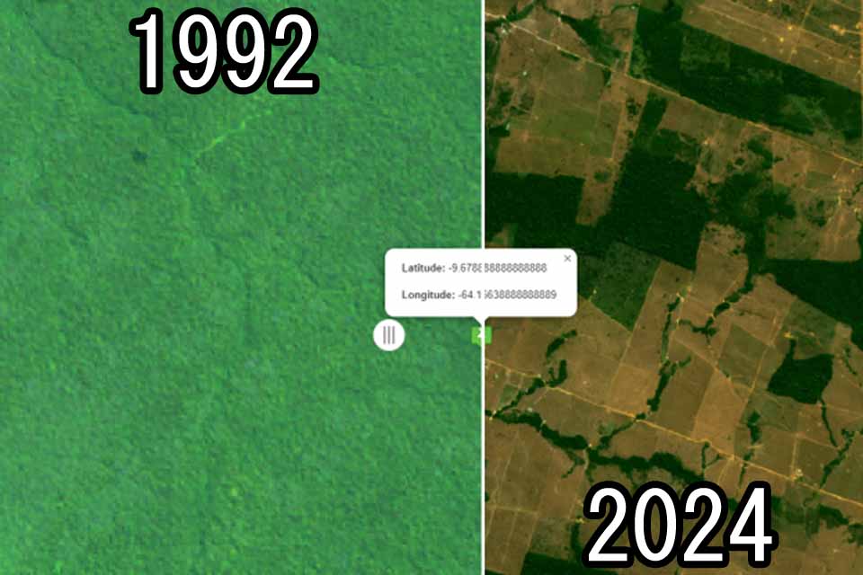 Frigoríficos terão de pagar mais de R$ 4 milhões após destruição maior que 214 campos de futebol em área de reserva em Rondônia