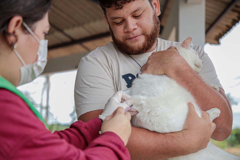 Mutirão de vacinação antirrábica será realizado nos distritos de Vista Alegre do Abunã, São Carlos, Nazaré e Calama