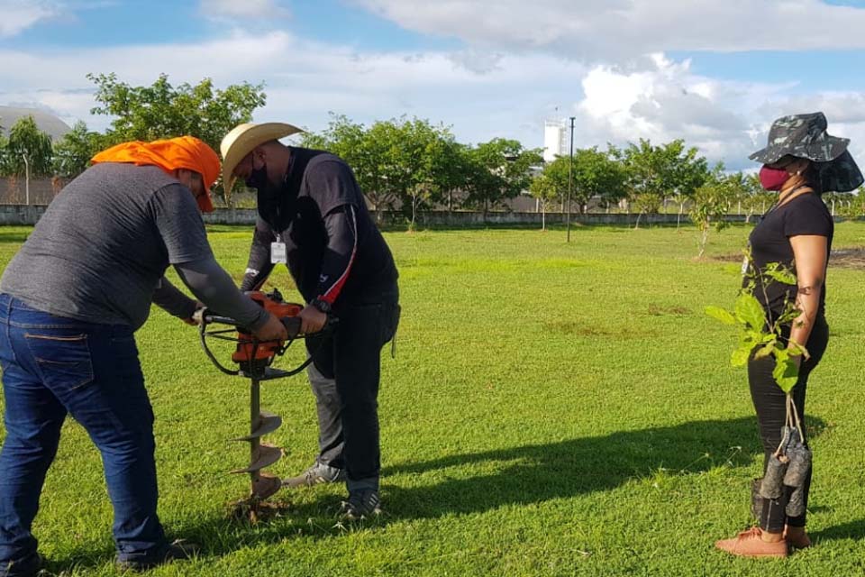 Prefeitura de Porto Velho realiza arborização recorde nos distritos  02/Jul/2021 - 08:46