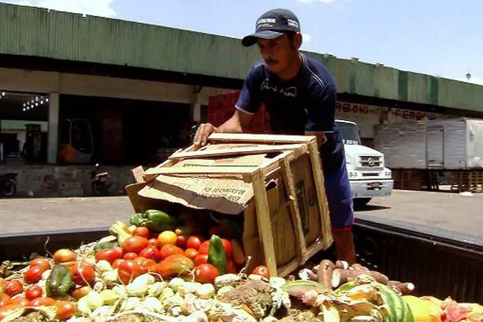 Pesquisa traz dicas sobre como reduzir desperdício de alimentos