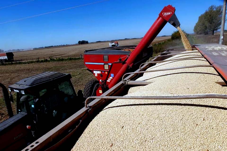 Agricultores argentinos iniciam greve de quatro dias