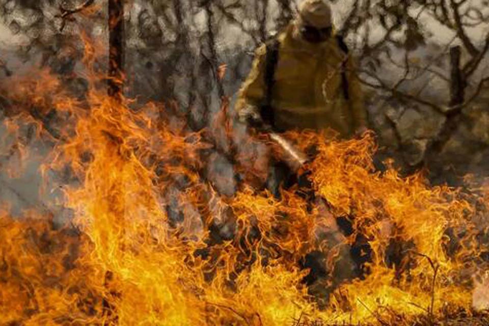 Previsão de risco elevado para incêndios neste fim de semana