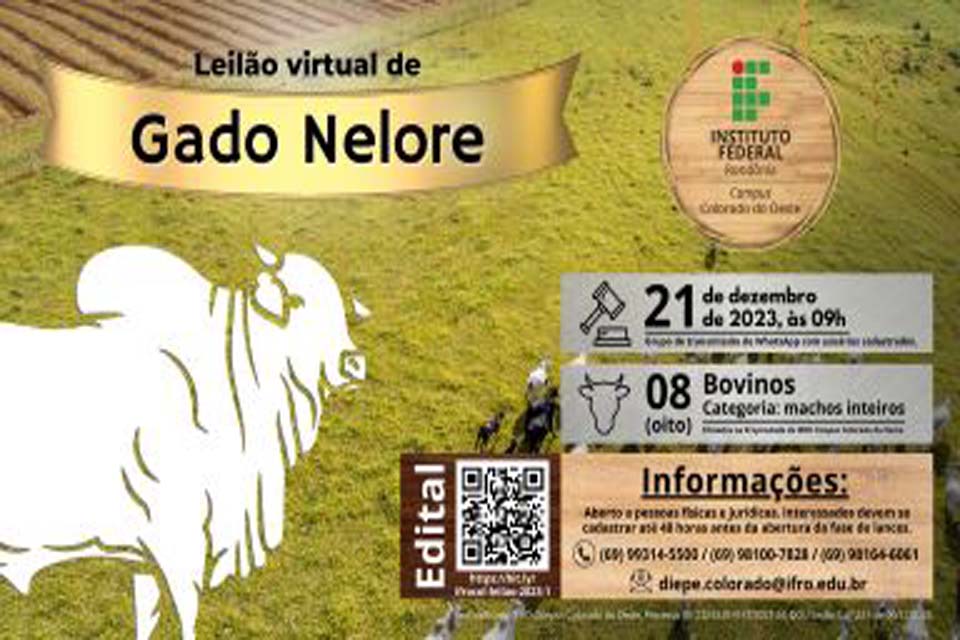 Leilão virtual de gado nelore será realizado pelo IFRO Campus Colorado do Oeste