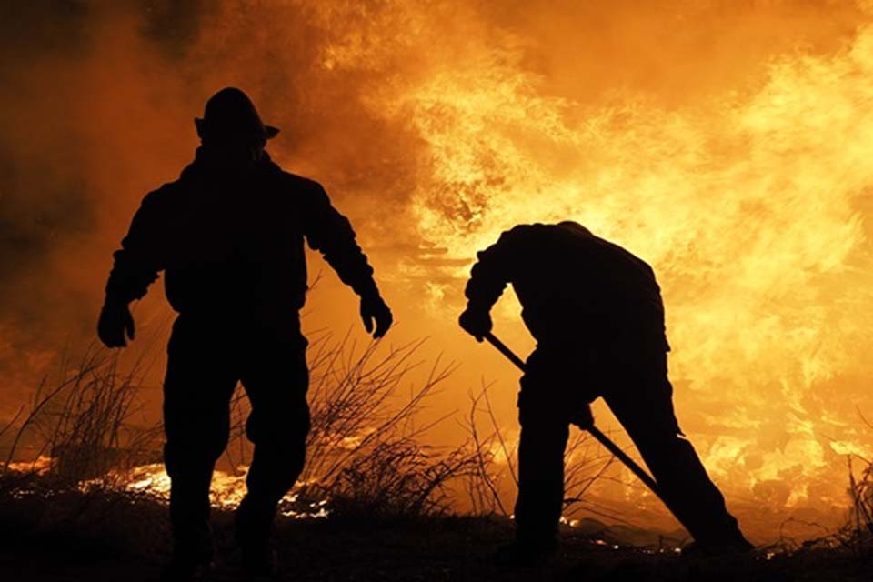 Amazônia tem diversidade empobrecida por incêndios florestais