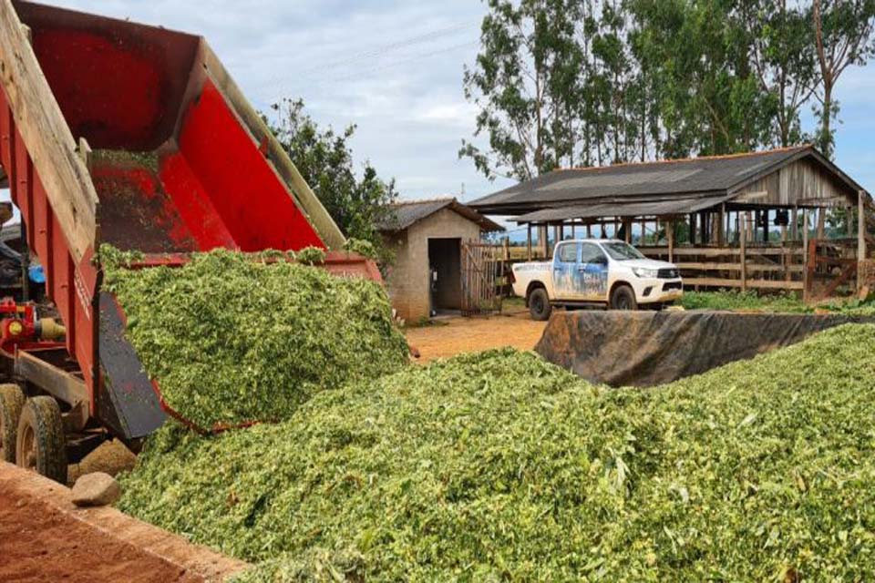 Produtores de leite de Cabixi são atendidos com projeto de Silagem da Emater Rondônia