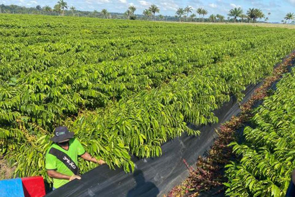 Prazo para inscrições do 5º Concafé em Rondônia é prorrogado até o dia 21 de agosto