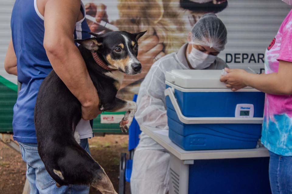 Vacinação antirrábica residencial pode ser agendada em Porto Velho