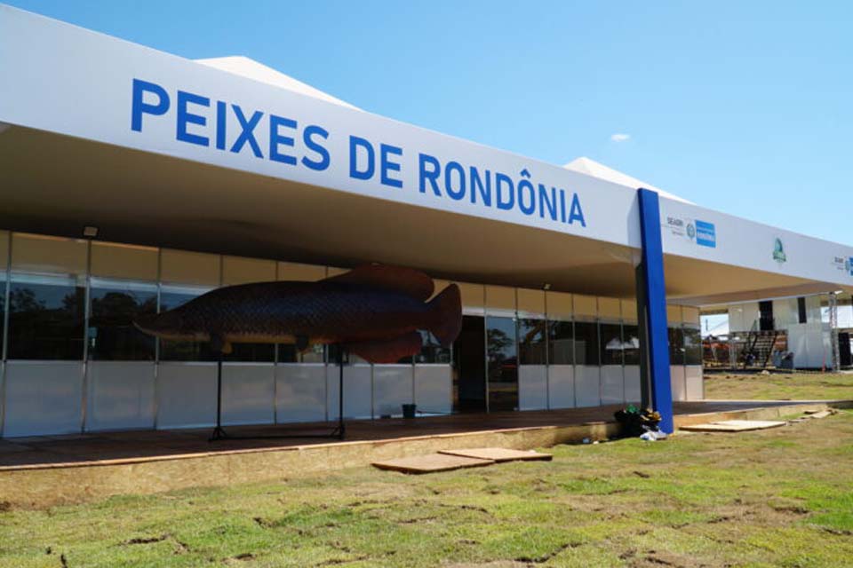 Espaço “Peixes de Rondônia” trará palestras, degustação de pratos e inovações ao produtor rural durante a Rondônia Rural Show