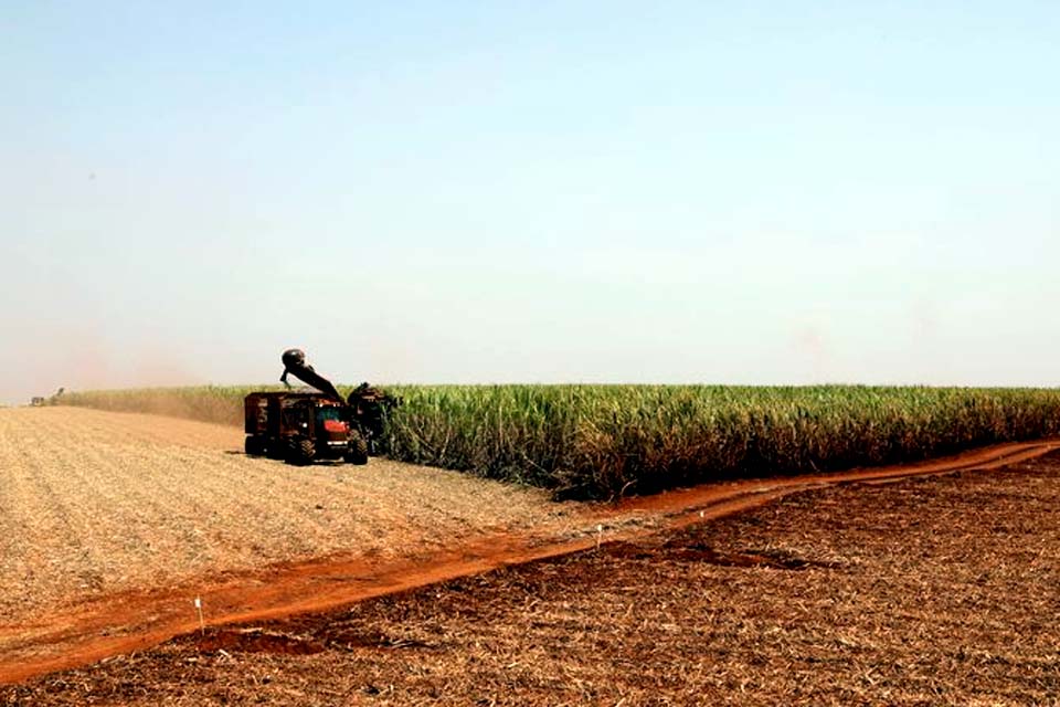 Plataforma receberá denúncias de venda casada no crédito agrícola