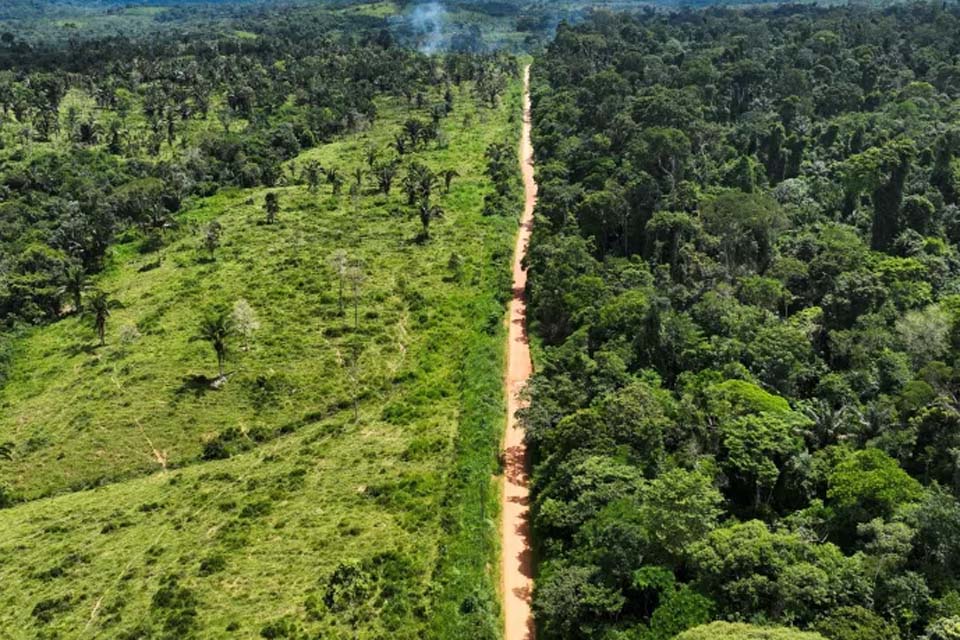 Superintendente Geral da Fundação Amazônia Sustentável defende ferrovia ligando Rondônia ao Amazonas