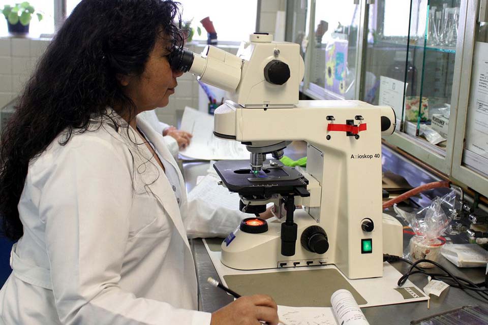 Programa Futuras Cientistas tem 470 vagas para alunas e professoras