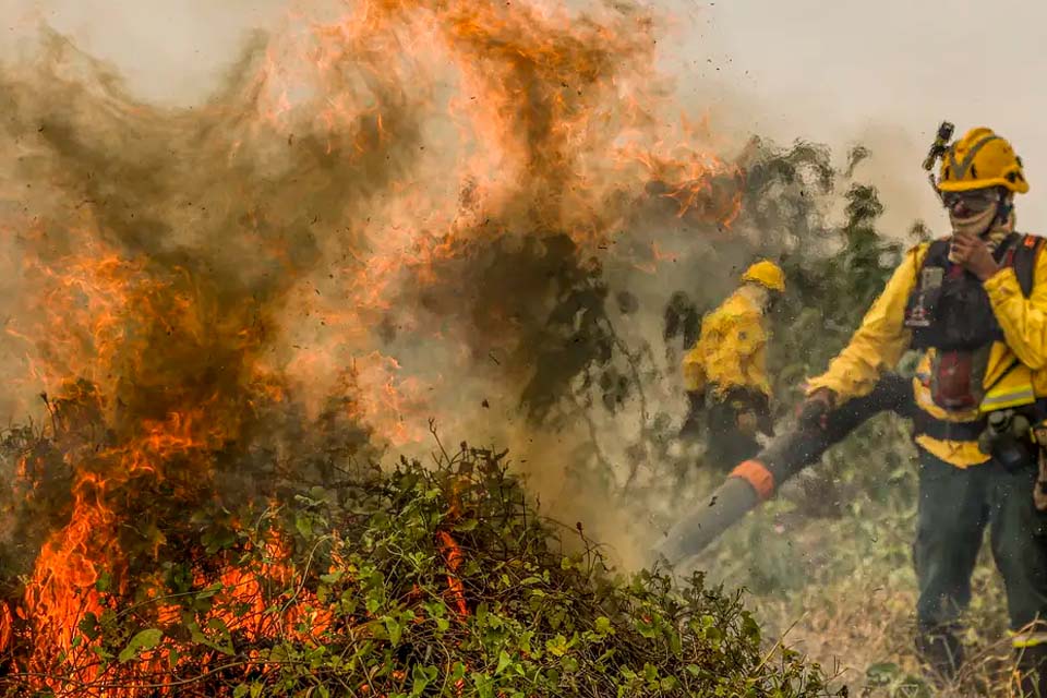 Fogo já consumiu 1,3 milhão de hectares e volta a aumentar no Pantanal