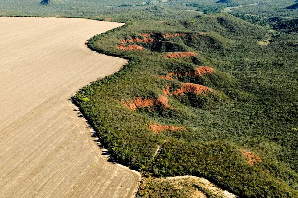 Cerrado tem alta de 19% nos alertas de desmatamento em fevereiro