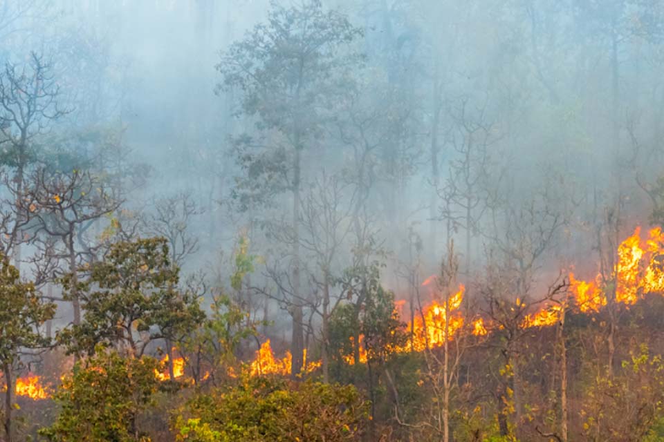 Queimadas geram riscos para o fornecimento de energia e a segurança das pessoas