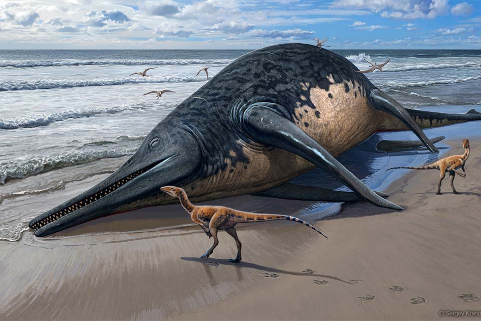 Fóssil de “monstro marinho” com 25 metros é encontrado no Reino Unido