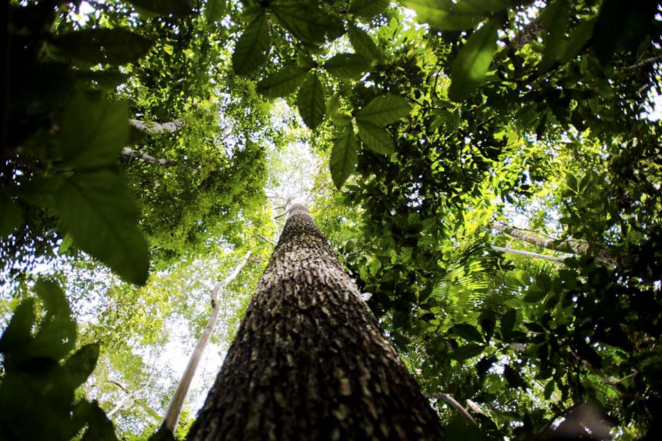 Manaus sedia primeira edição da Glocal Amazônia