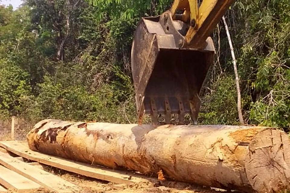 Porto Velho: Semagric recupera estradas, pontes e bueiros na região da Ponta do Abunã