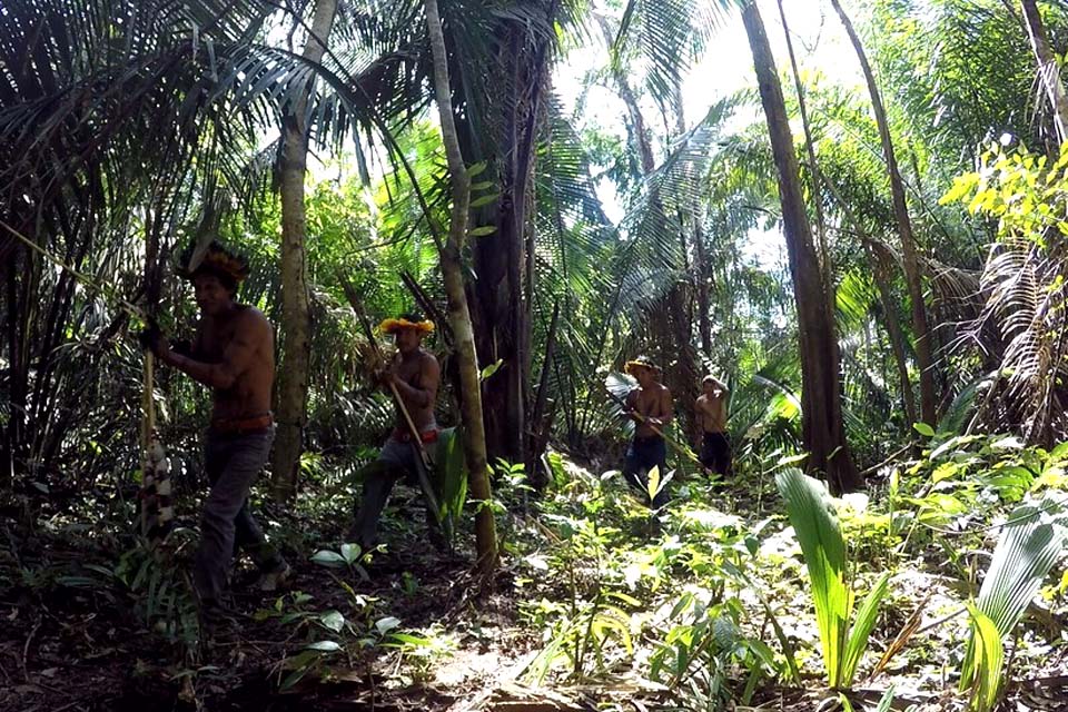 Suruí e Cinta Larga são as etnias indígenas mais atingidas pela Covid-19 em Rondônia